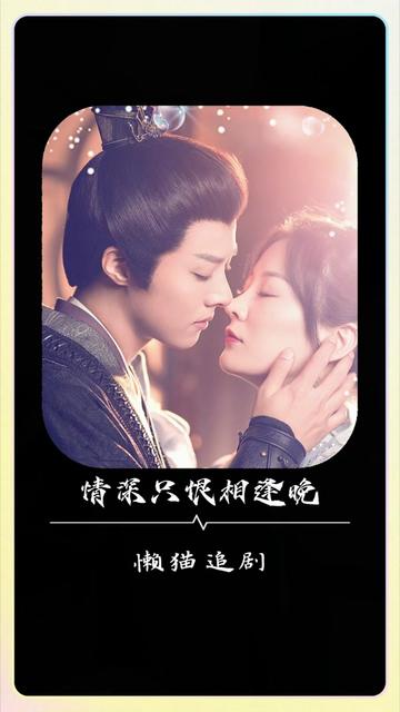 情深只恨相逢晚全集(大结局)