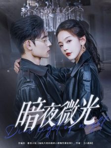 暗夜微光全集(大结局)