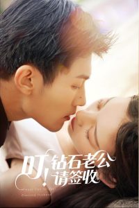 叮！钻石老公请签收全集(大结局)