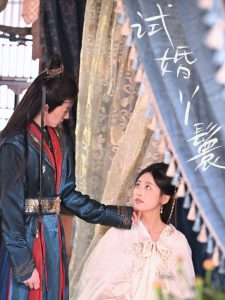 试婚丫鬟全集(大结局)