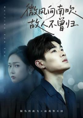 微风向南吹，故人不曾归(全集)