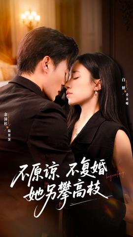 不原谅不复婚她另攀高枝(全集)