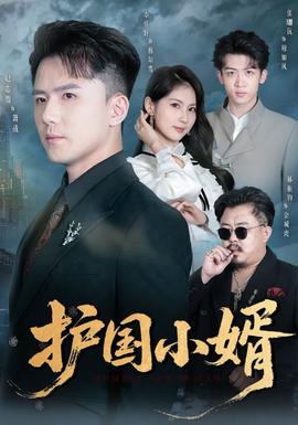 护国小婿(全集)